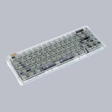 IDOBAO ICE Series 67 Assembled MX Mechanical Keyboard (Gasket Mount)
